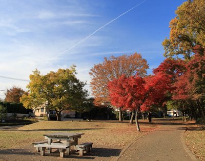 🌳 코미야 공원(코미야 코엔)